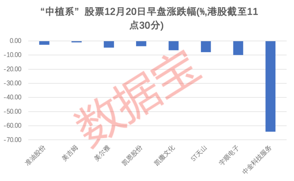 今日新股上市交易，市場機遇與挑戰(zhàn)并存