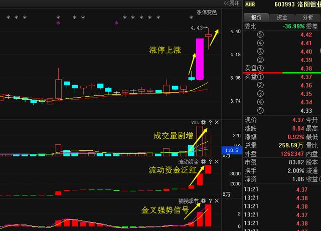 洛陽(yáng)鉬業(yè)重組最新動(dòng)態(tài)揭秘，步驟指南與最新進(jìn)展