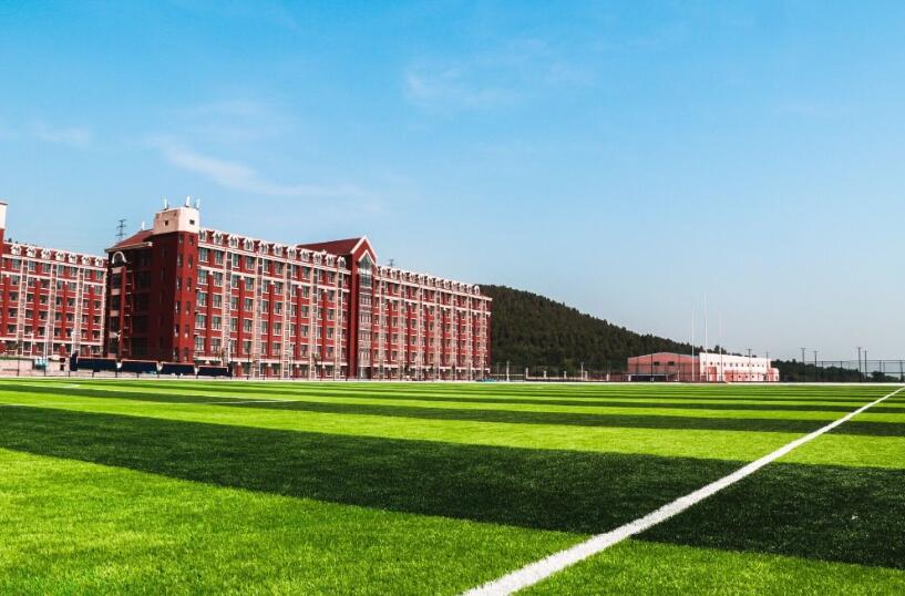 山東大學(xué)動(dòng)漫設(shè)計(jì)專業(yè)，自然美景中的探索之旅