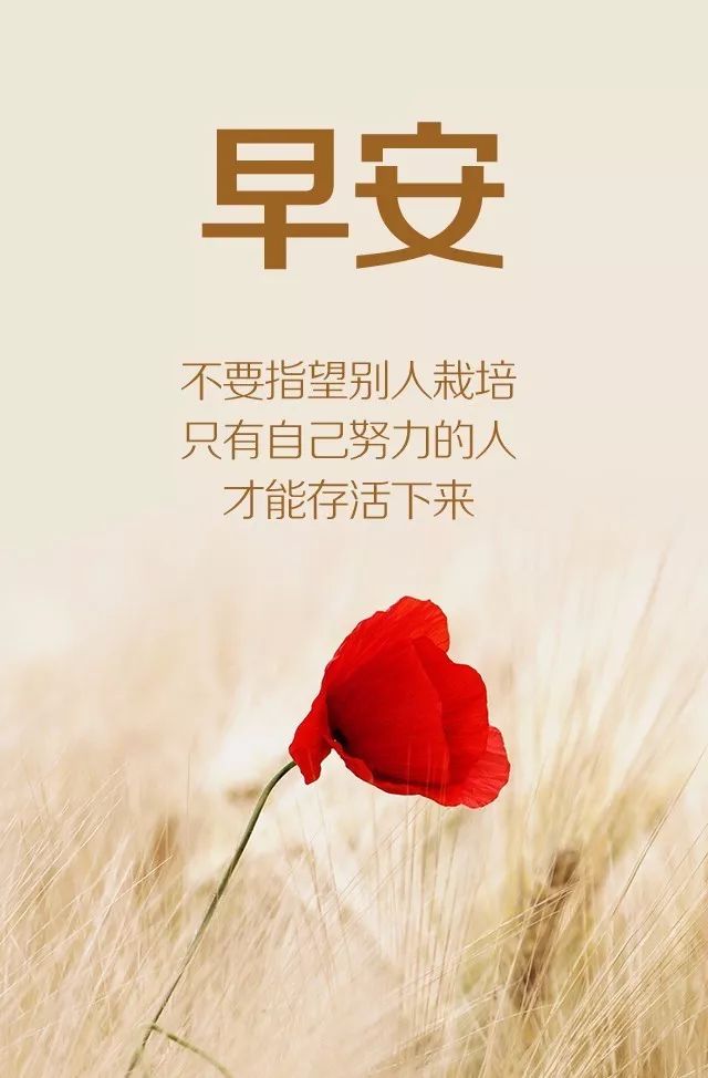 最新早安語錄，巷弄深處獨(dú)特小店喚醒你的清晨時光