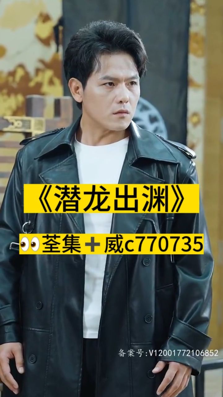 淘龍最新視頻，日常趣事與愛(ài)之陪伴