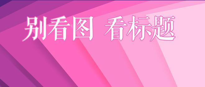 預(yù)情最新通知詳解，任務(wù)完成與技能學(xué)習(xí)步驟指南